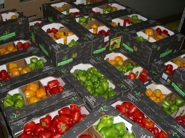 Produits Périssables - Challenge Handling